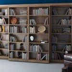 Secret Sliding Bookcshelf Doors Conceal Murphy Bed