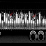XRay image of immigrants in semi trailer