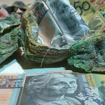 Stash of cash melted in stove/oven