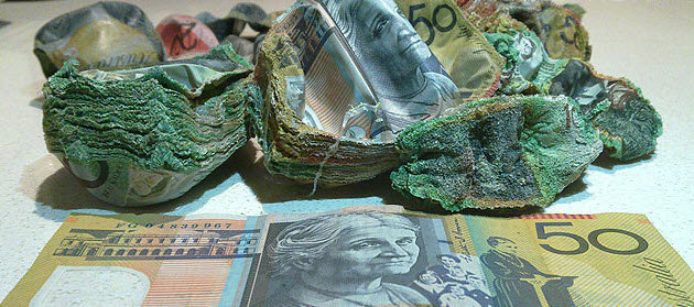 Stash of cash melted in stove/oven