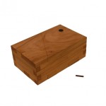 Hidden Compartment Wooden Puzzle Box