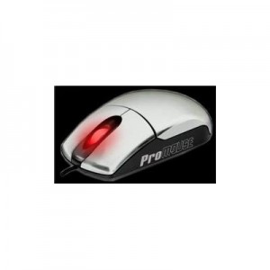 Mouse with Hidden Compartment and Scale