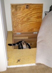 Trap Door to Hidden Room