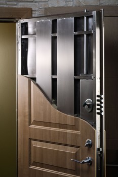 Steel Entry Door with Faux Wood Finish